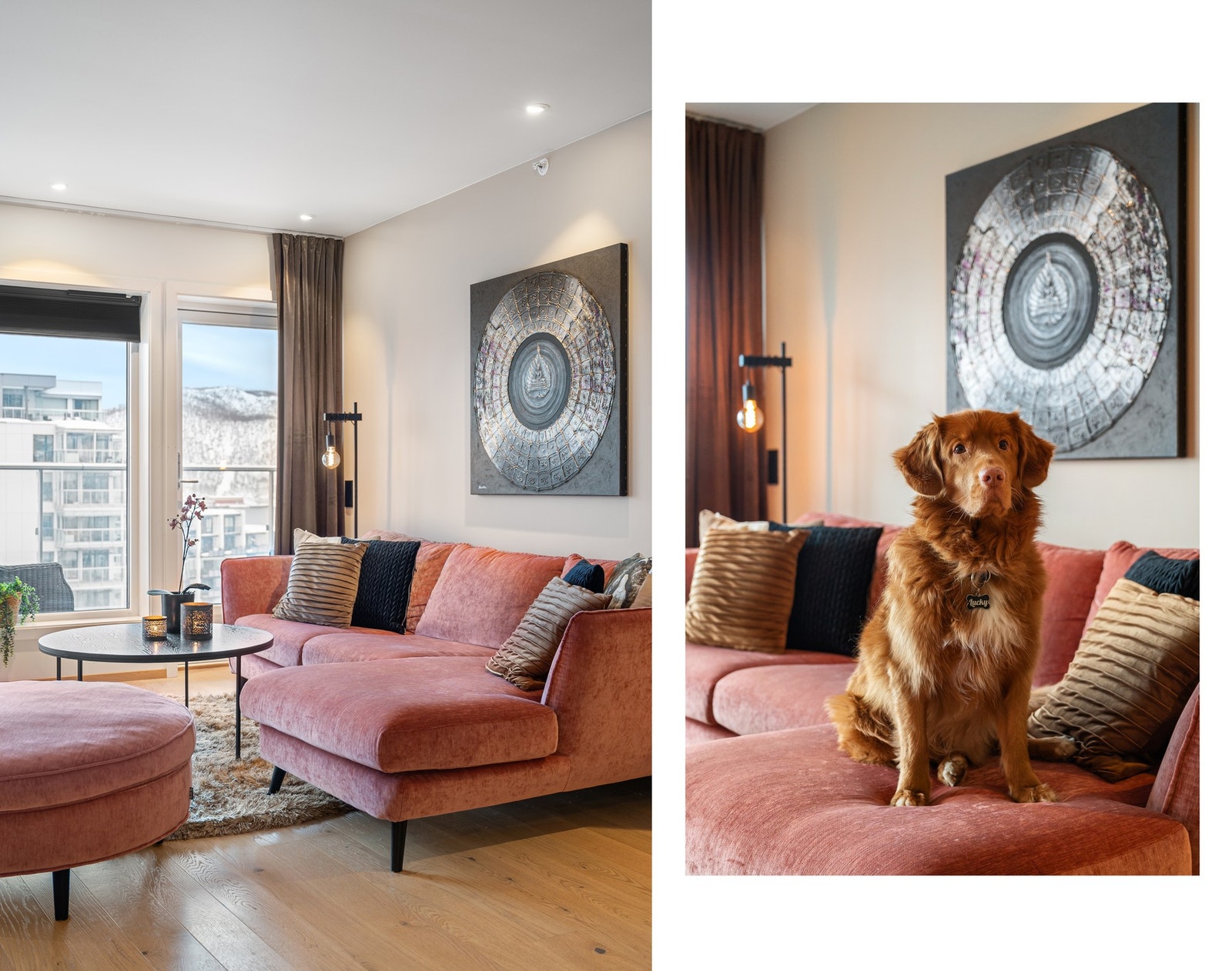 Det er tillatt med dyrehold i borettslaget, så hit kan du ta med din firbeinte venn! Galleribilde