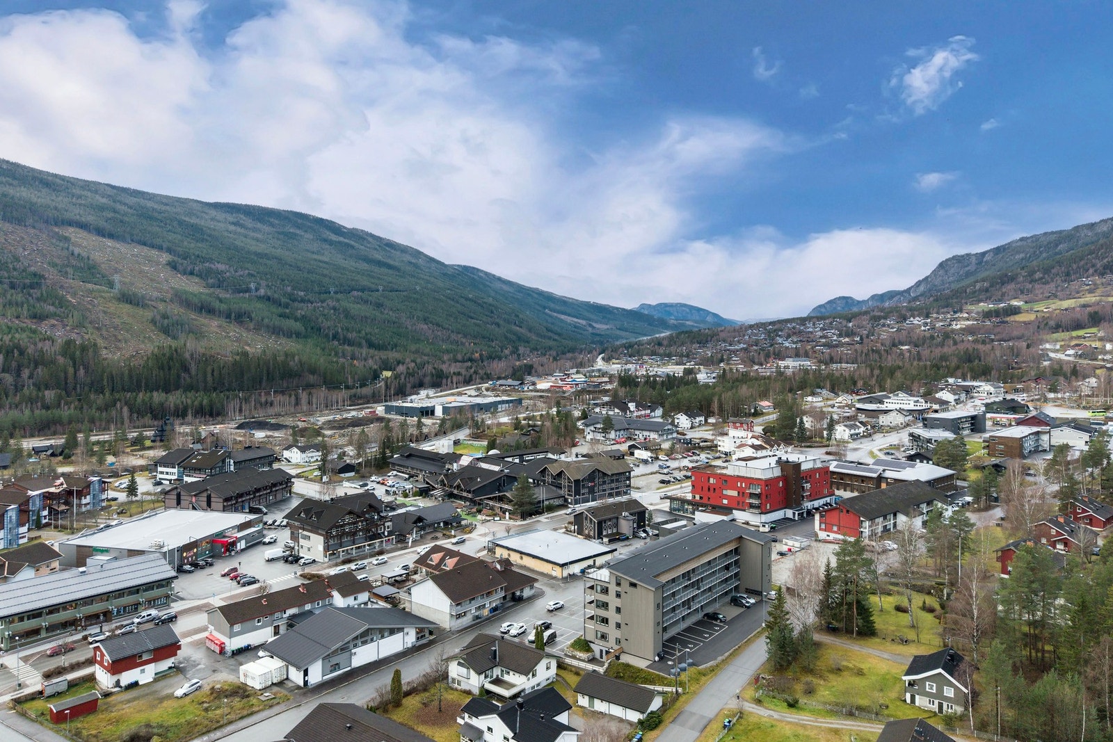 Sommerbilde. Galleribilde