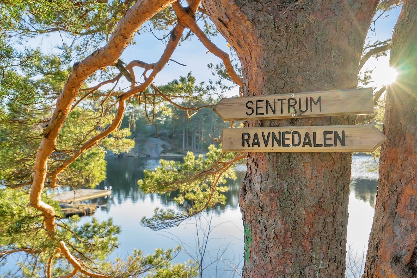 Nærområdet Galleribilde