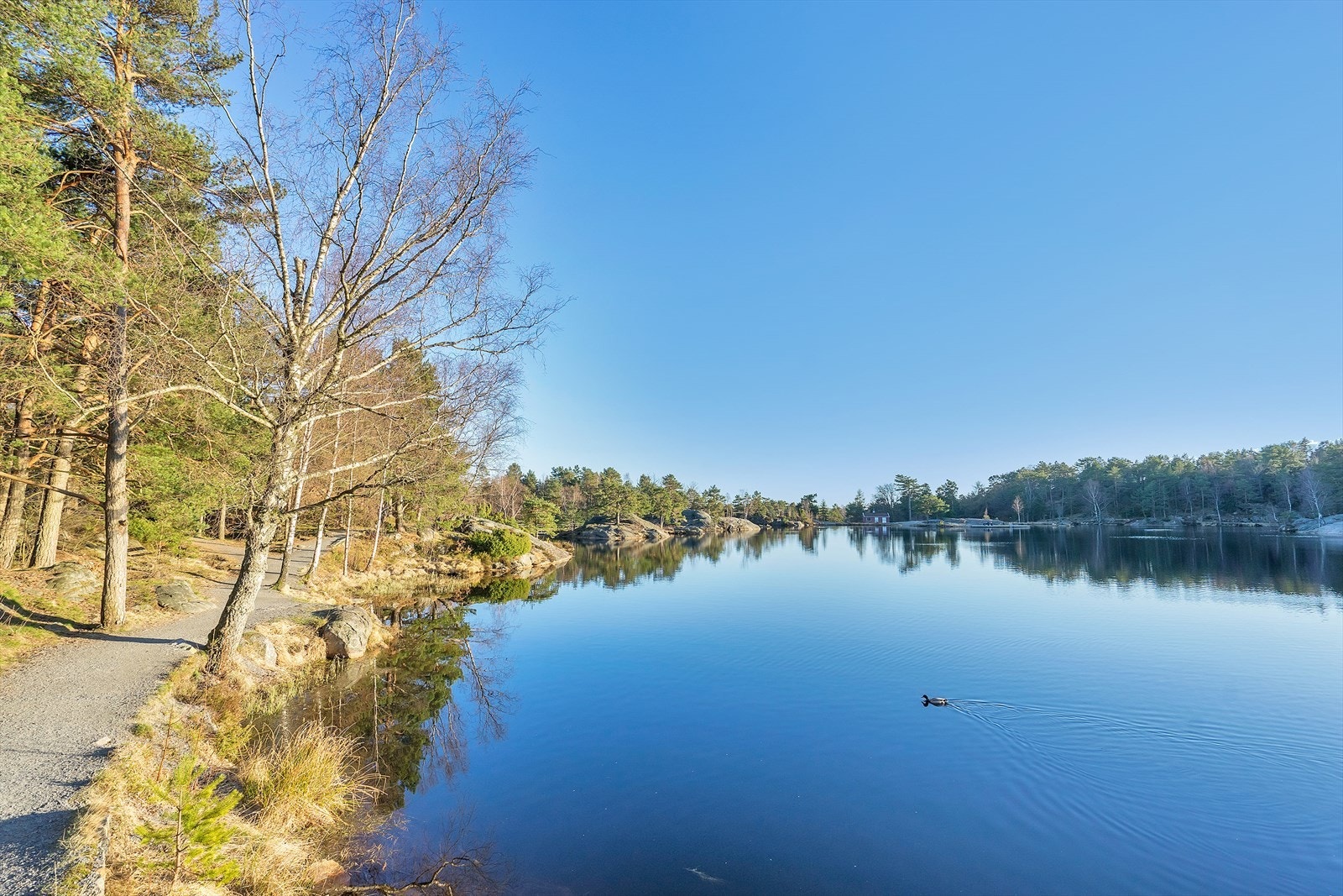 Nærområdet Galleribilde
