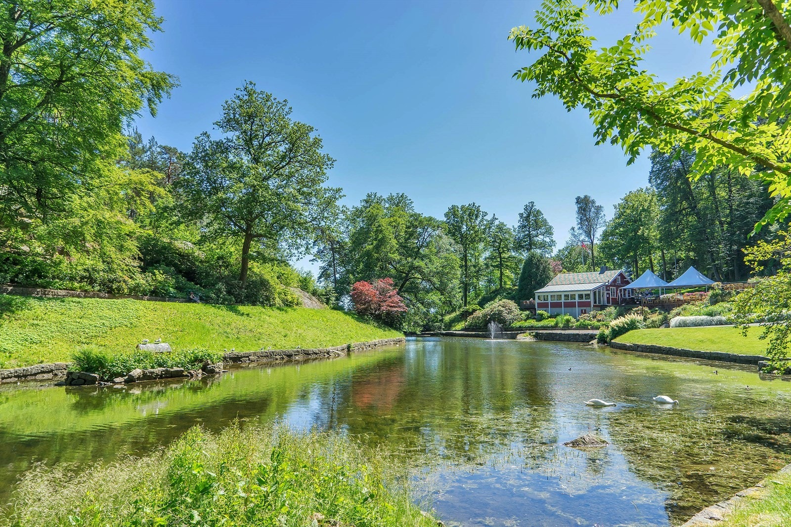 Nærområdet Galleribilde