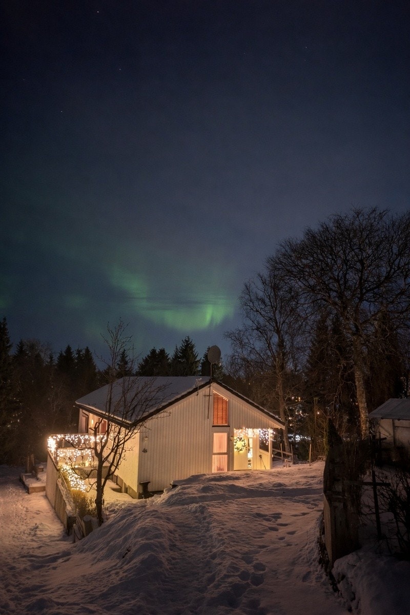 Nære naturen året rundt Galleribilde