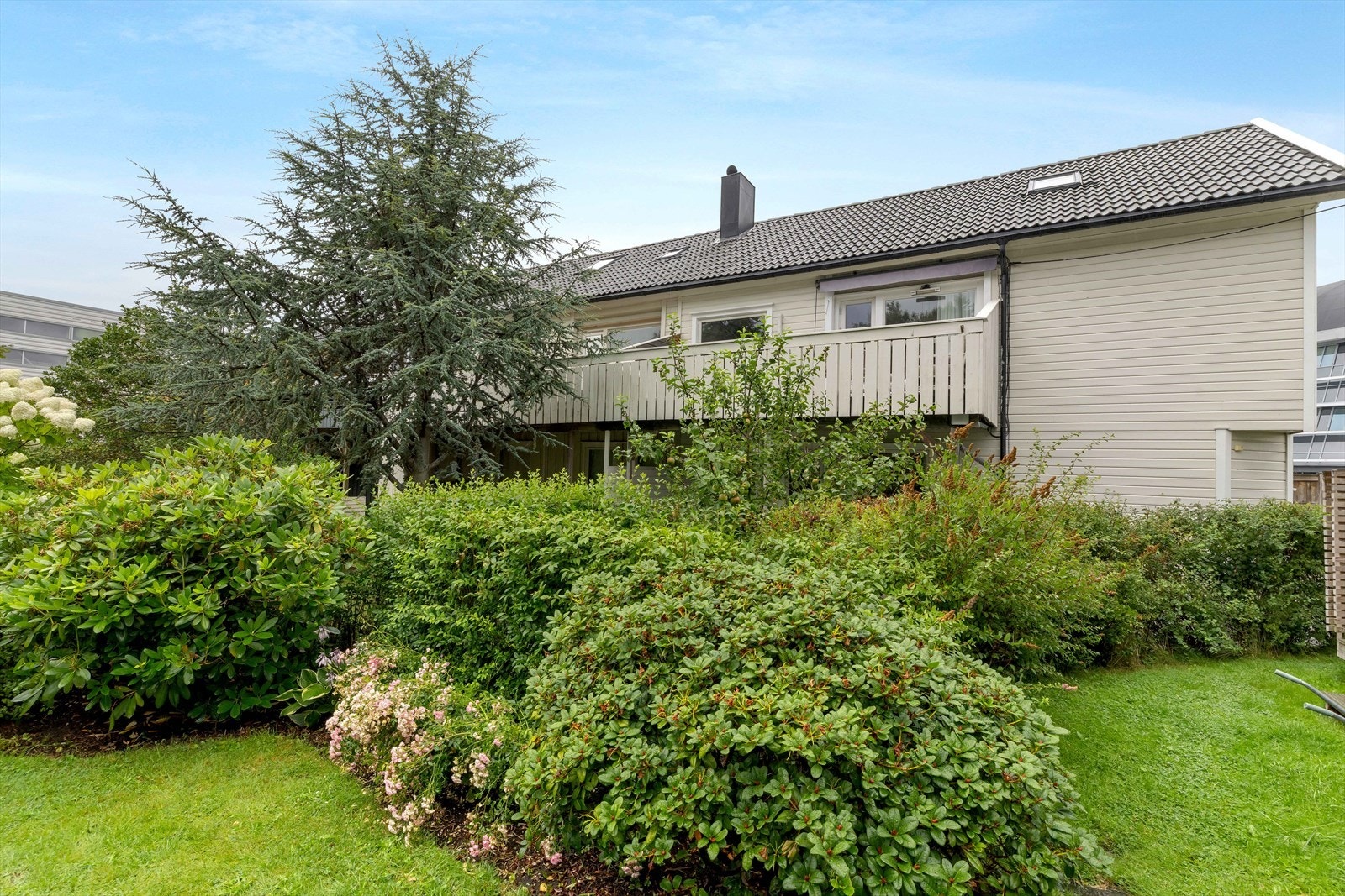 Husk å melde deg på visning! Galleribilde