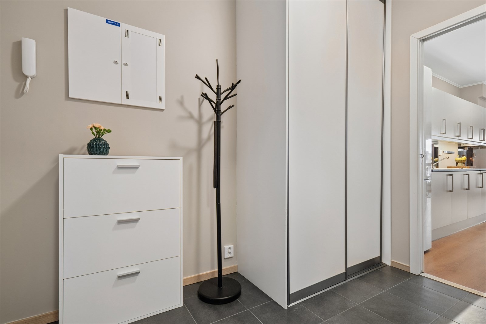 Entreen er utstyrt med bl.a. porttelefon og en praktisk skyvedørsgarderobe Galleribilde