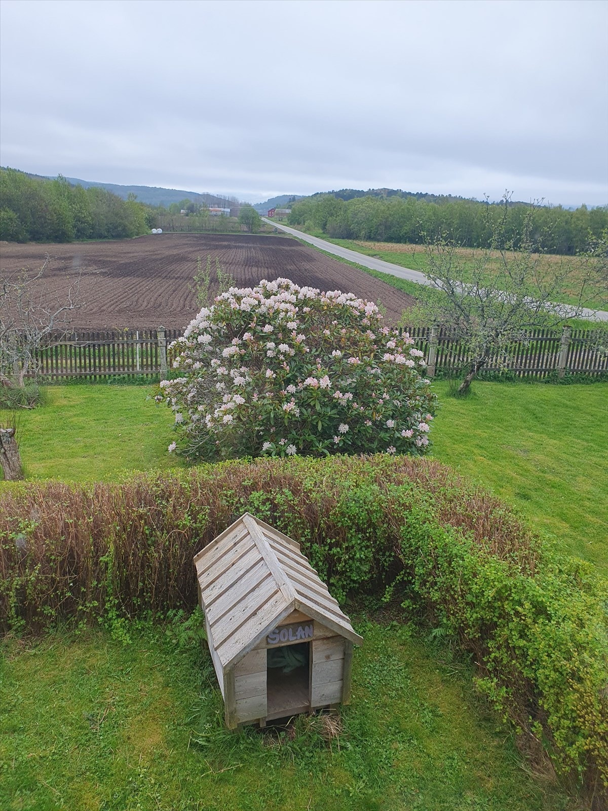 Selgers private bilde. Galleribilde