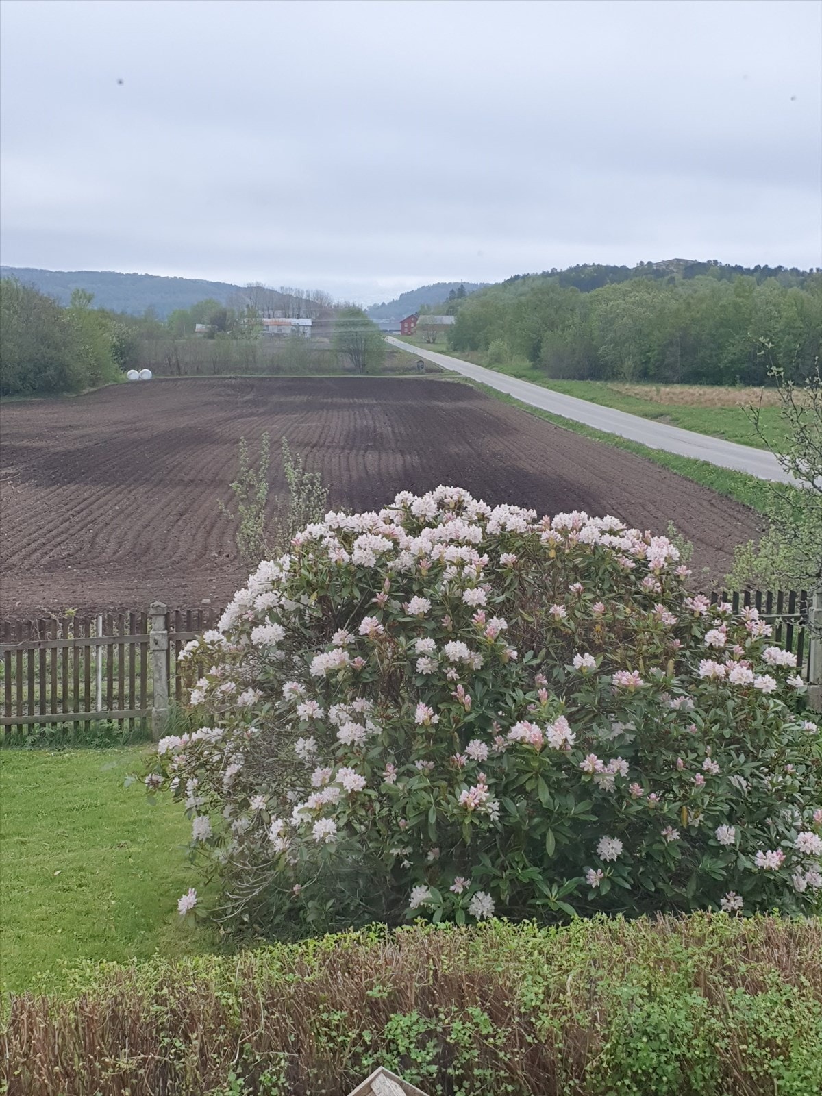 Selgers private bilde. Galleribilde