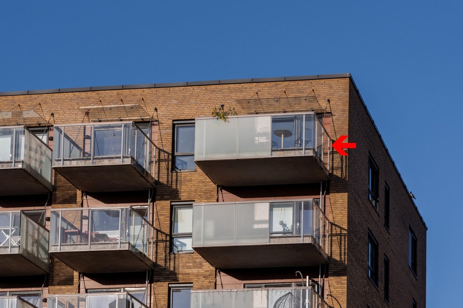 Fasade. Galleribilde