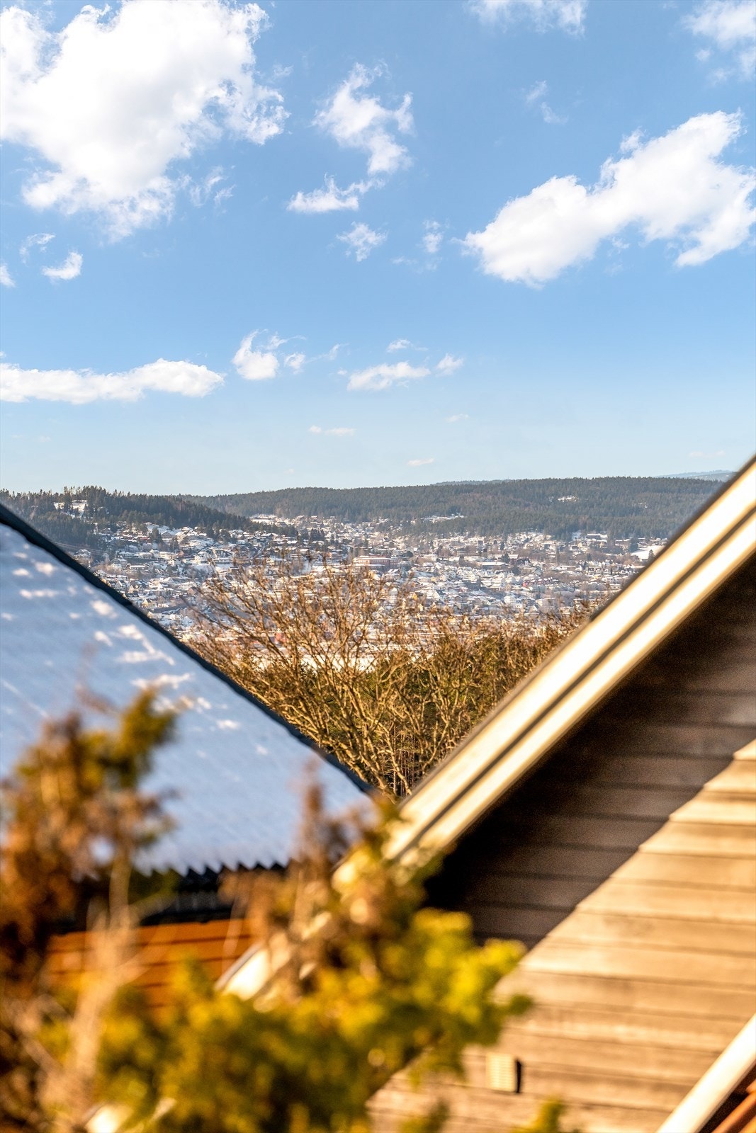 Utsikt. Galleribilde