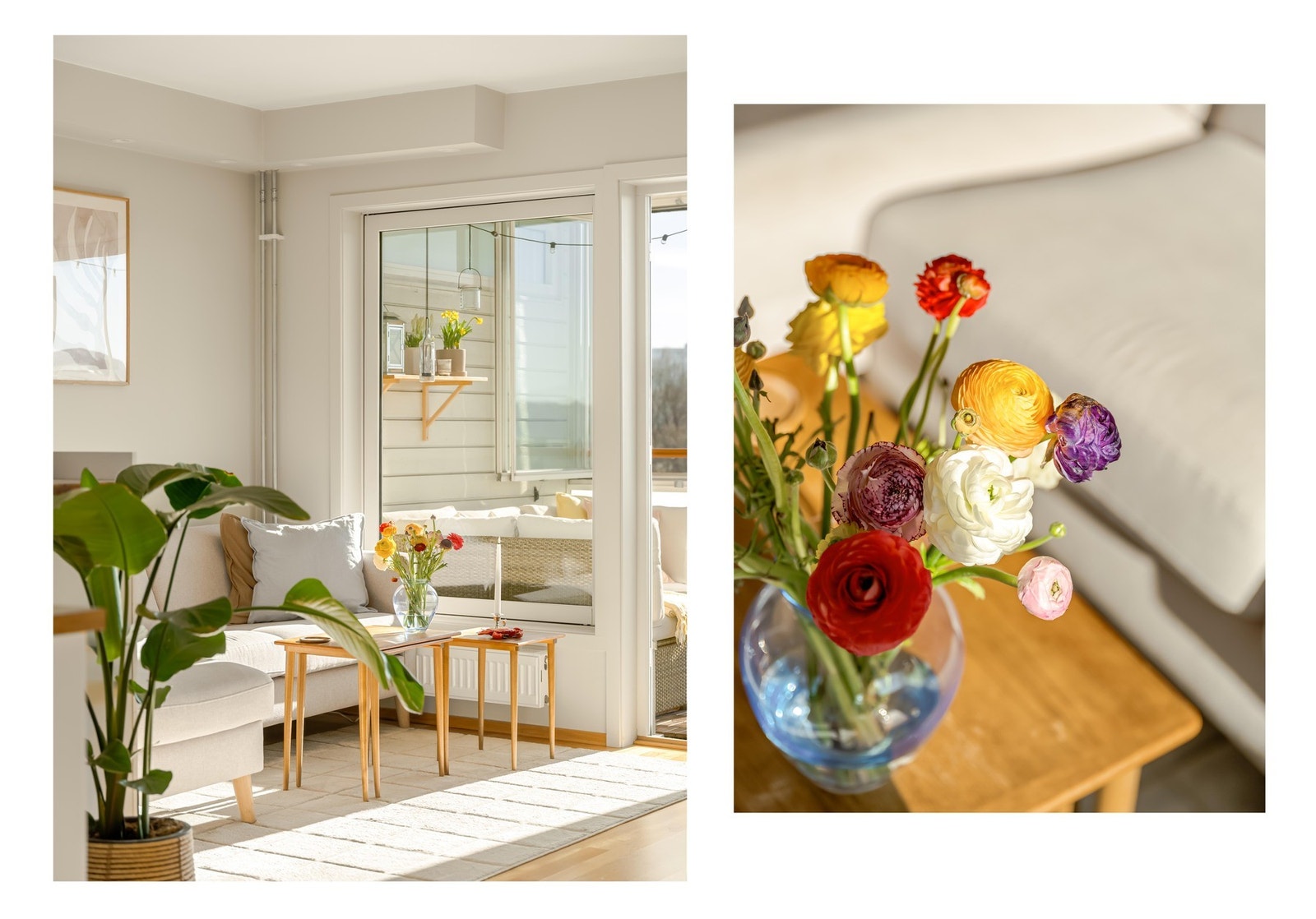 Legg merke til de store vindusflatene som slipper inn godt med dagslys. Galleribilde