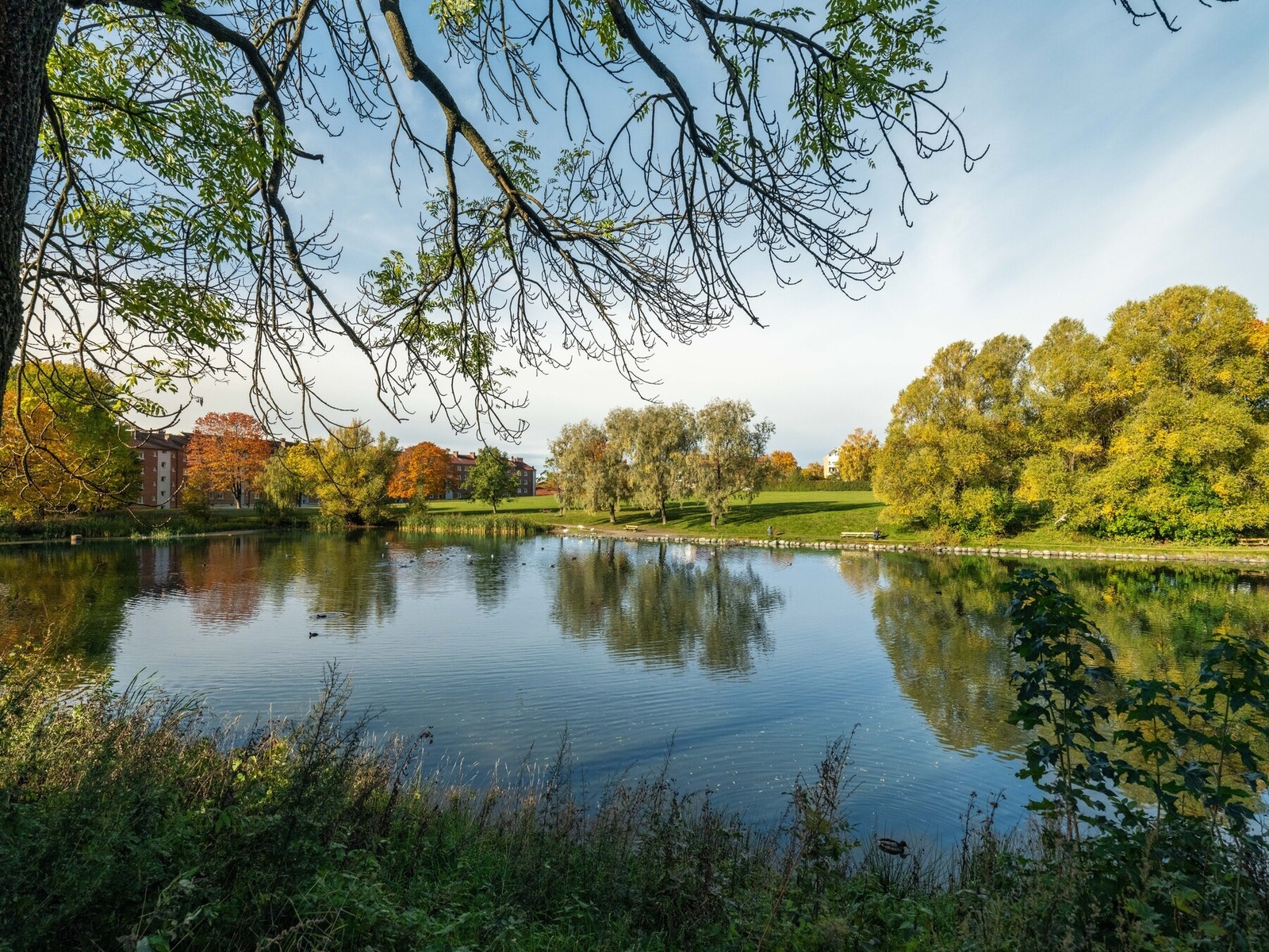 Rett utenfor døren finner du flotte parkområder og turstier. Galleribilde