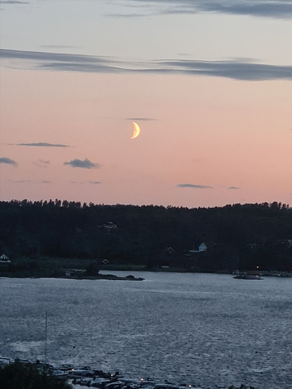 Selgers egne bilder Galleribilde