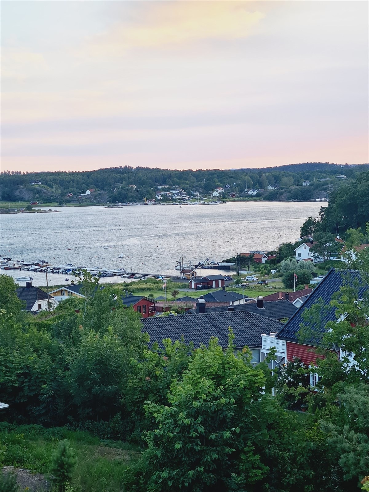 Selgers egne bilder Galleribilde