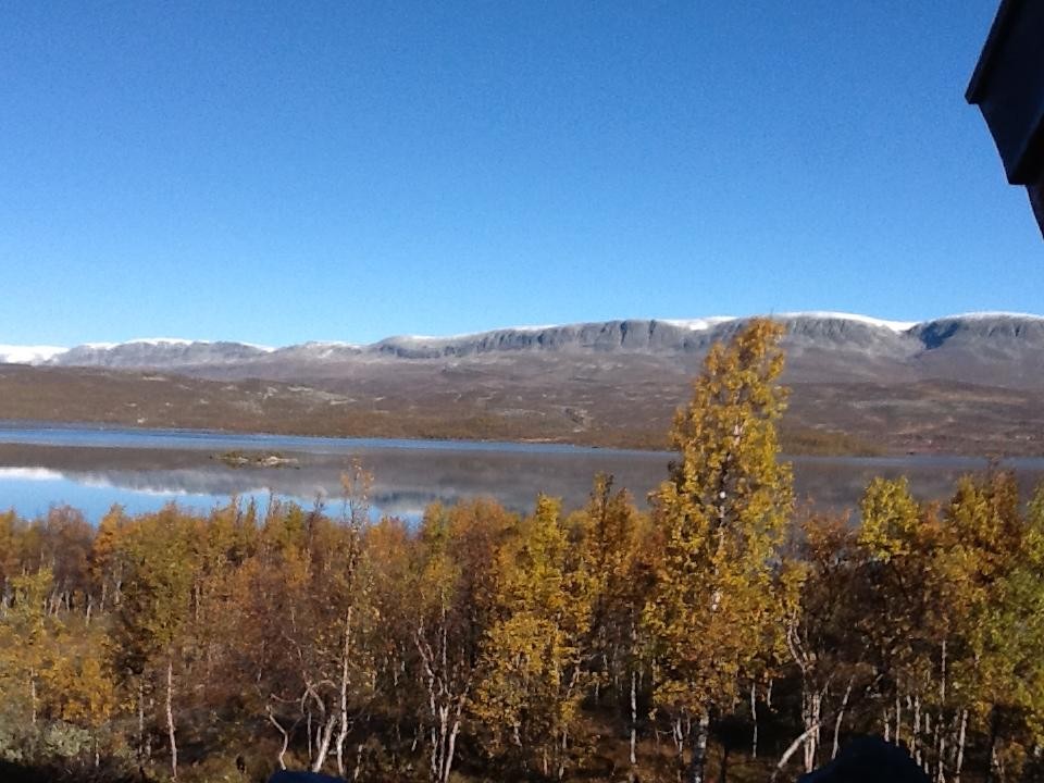 Selgers bilde Galleribilde