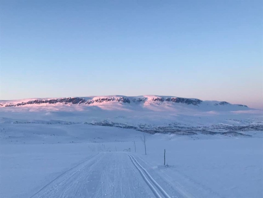 Selgers bilde Galleribilde