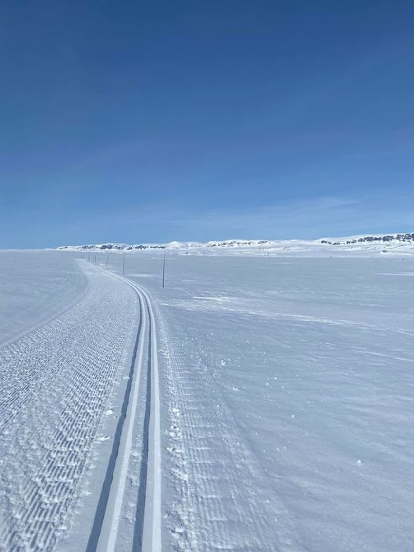 Selgers bilde Galleribilde