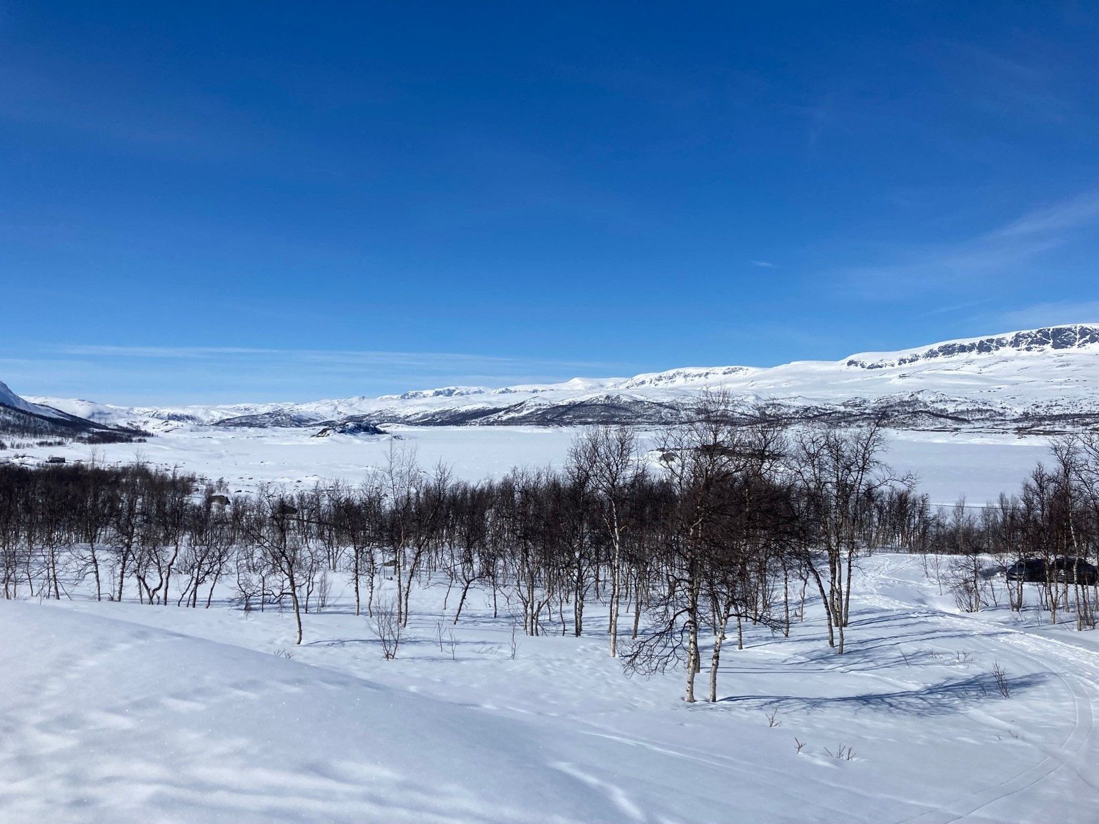 Selgers bilde Galleribilde