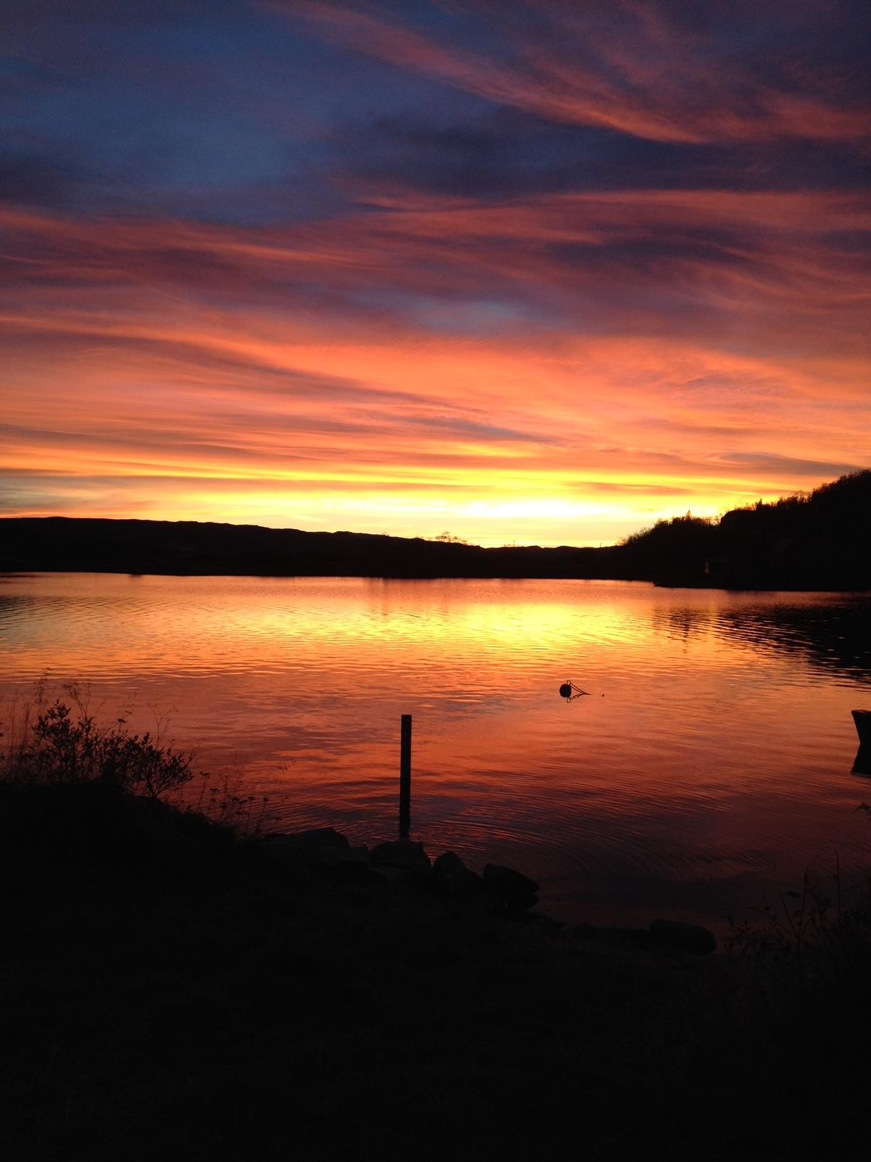 Selgers bilde Galleribilde