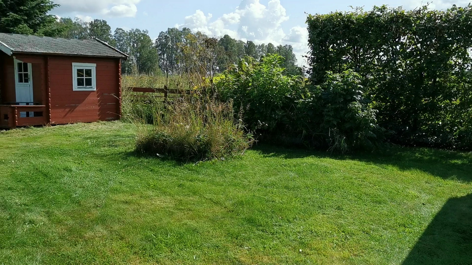 Selgers bilder. Galleribilde