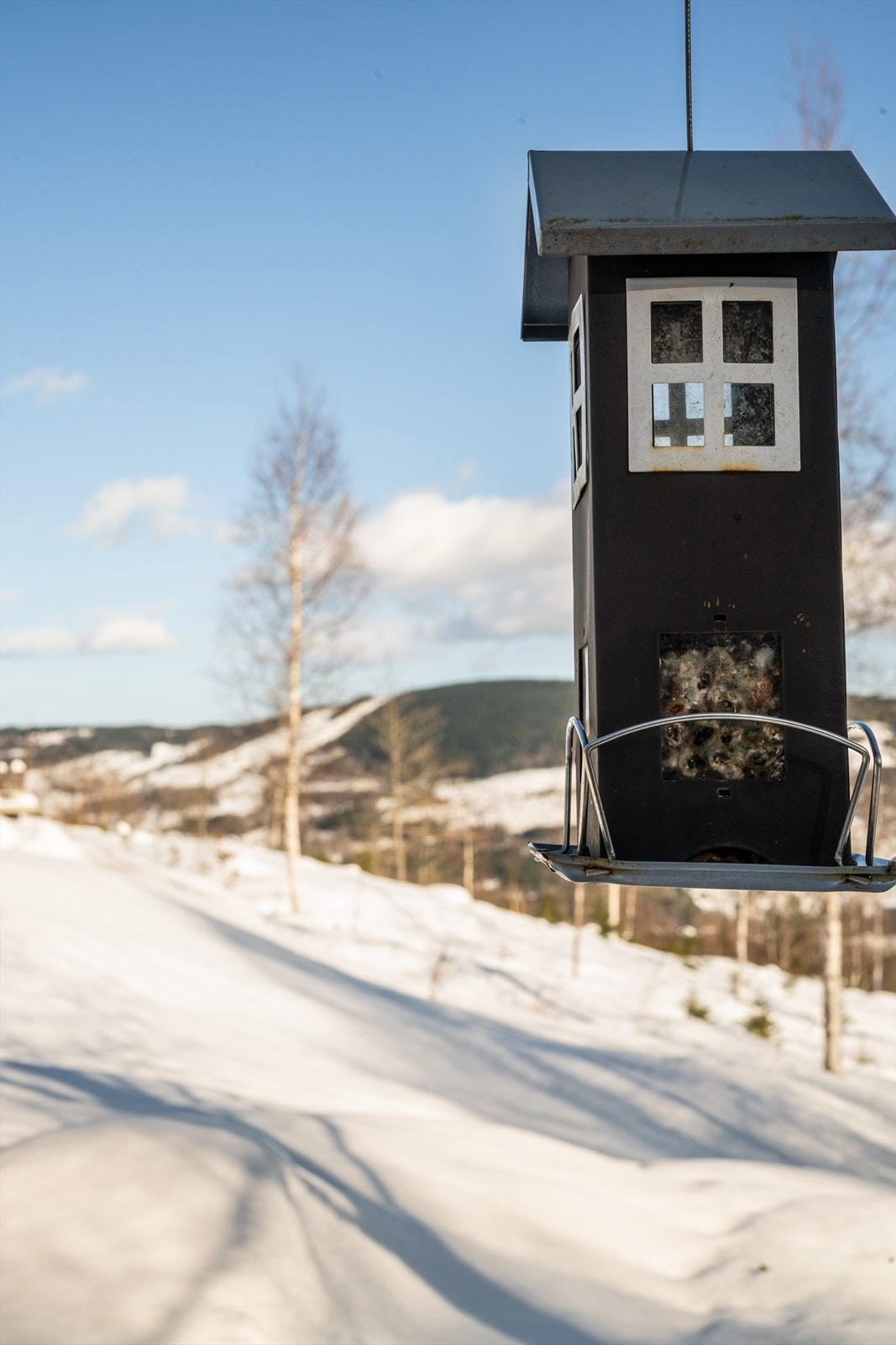 Småfuglene trives godt i Rognstadkollvegen 12 - Livlige meisefugler med sine karakteristiske blå og gule fjærdrakter, små spurver som hopper lett mellom grenene, og kanskje noen nysgjerrige dompaper med sine varme røde toner. Galleribilde