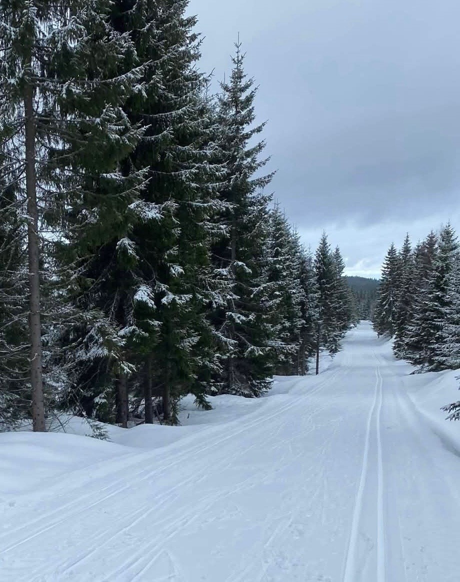 Fra hytta har du kort vei til det populære løypenettet på Minneåsen - et av Hurdals mest ettertraktede områder for langrenn. Her finner du milevis med velpreparerte skiløyper som slynger seg gjennom vakker skog og åpent åsterreng. Galleribilde