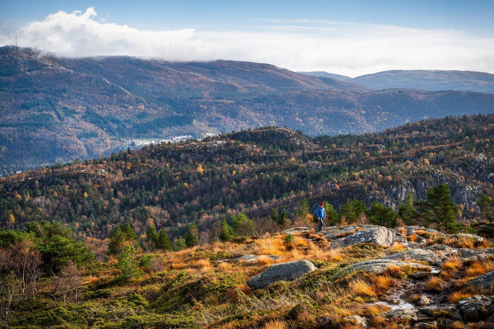 Om du liker en grei tur på fjellet kan Damsgårdsfjellet anbefales. Stien går bla. opp fra Øvre Holen. Galleribilde