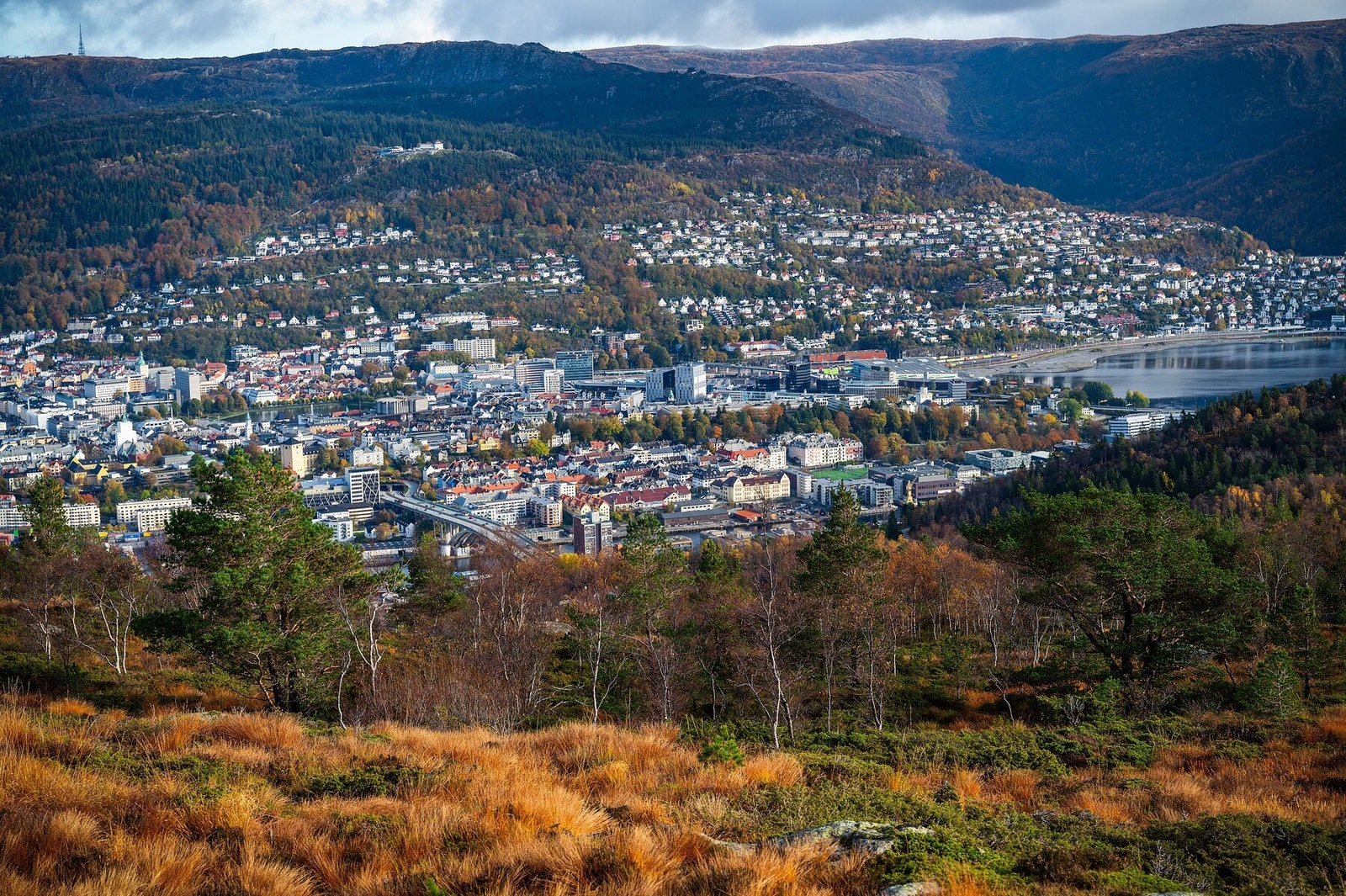 Fra fjellet kan du også se ned mot byen. Galleribilde