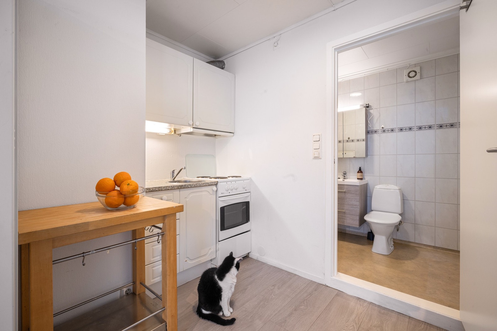 Utleiedel Galleribilde