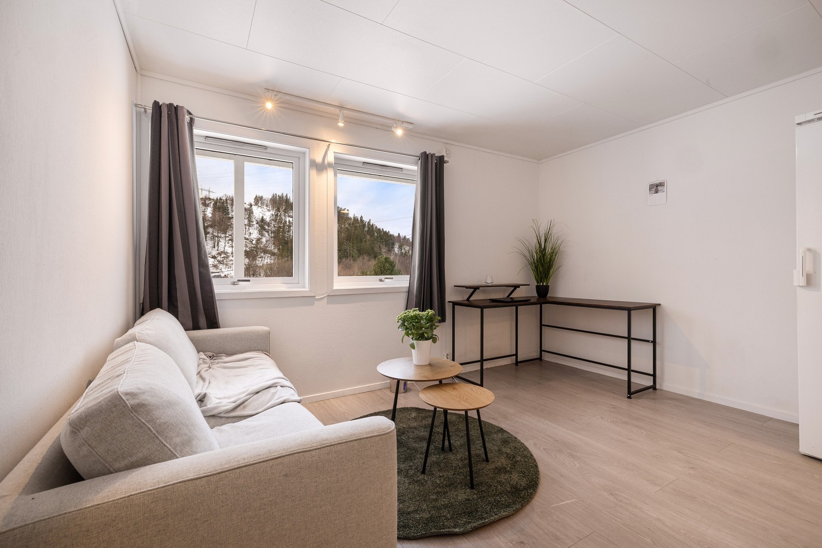 Utleiedel Galleribilde