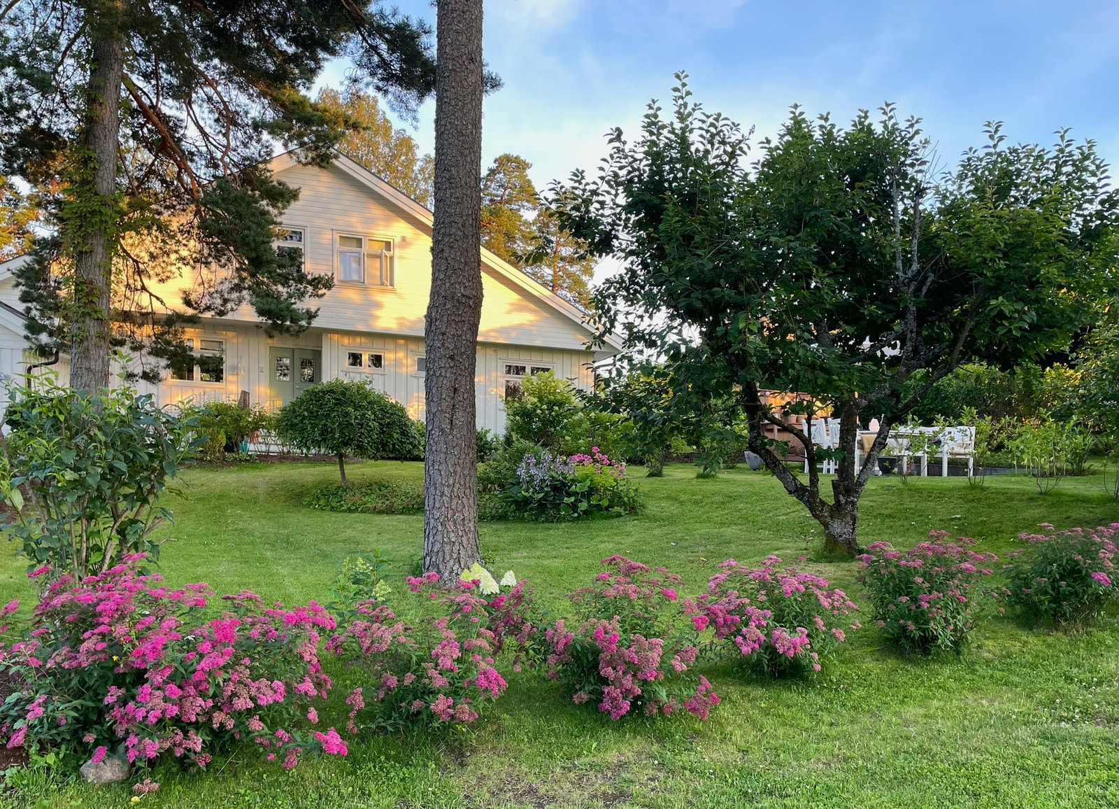 Private sommerbilder Galleribilde