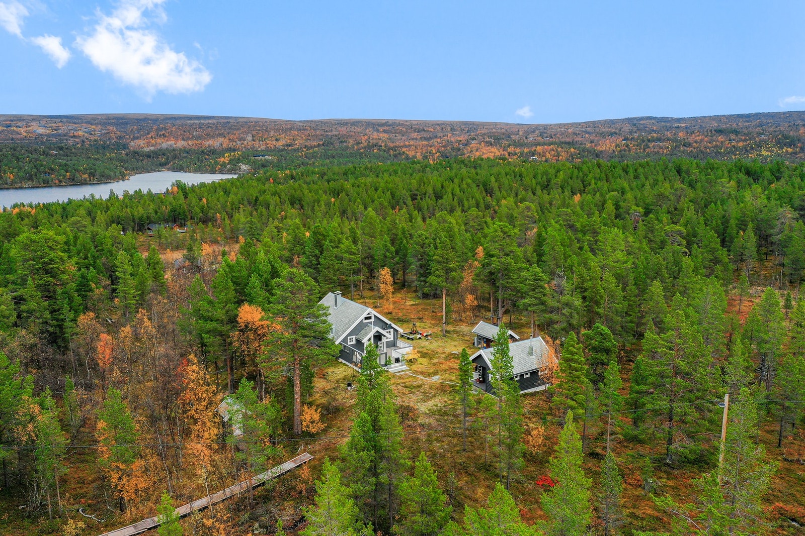 Velkommen på visning! Galleribilde