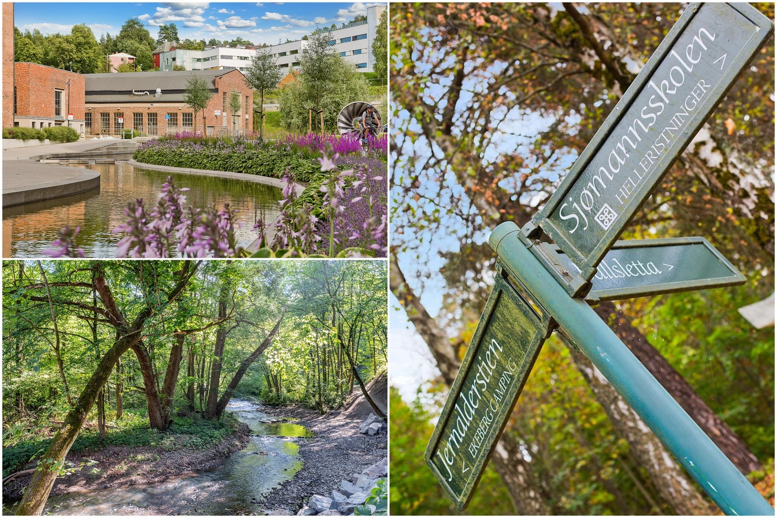 Flotte tur- og rekreasjonsområder i Svartdalsskogen og langs Alnaelva Galleribilde