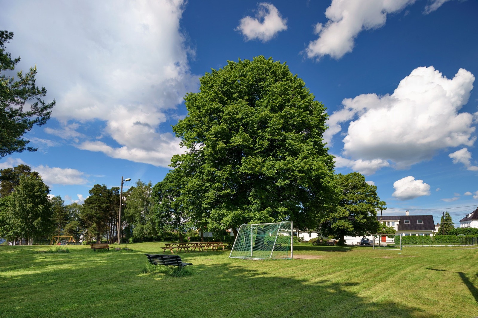 Kort gange til flotte parker. Høyenhallparken og andedammen med Høyenhall velhus Galleribilde