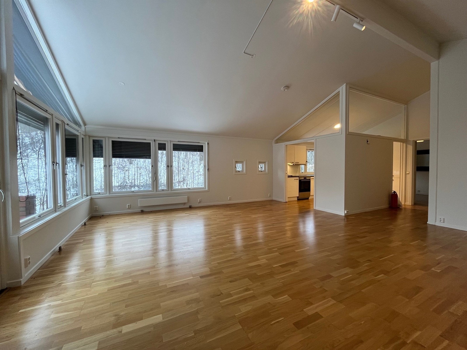 Meget god plass til både sofagruppe og spisebord Galleribilde