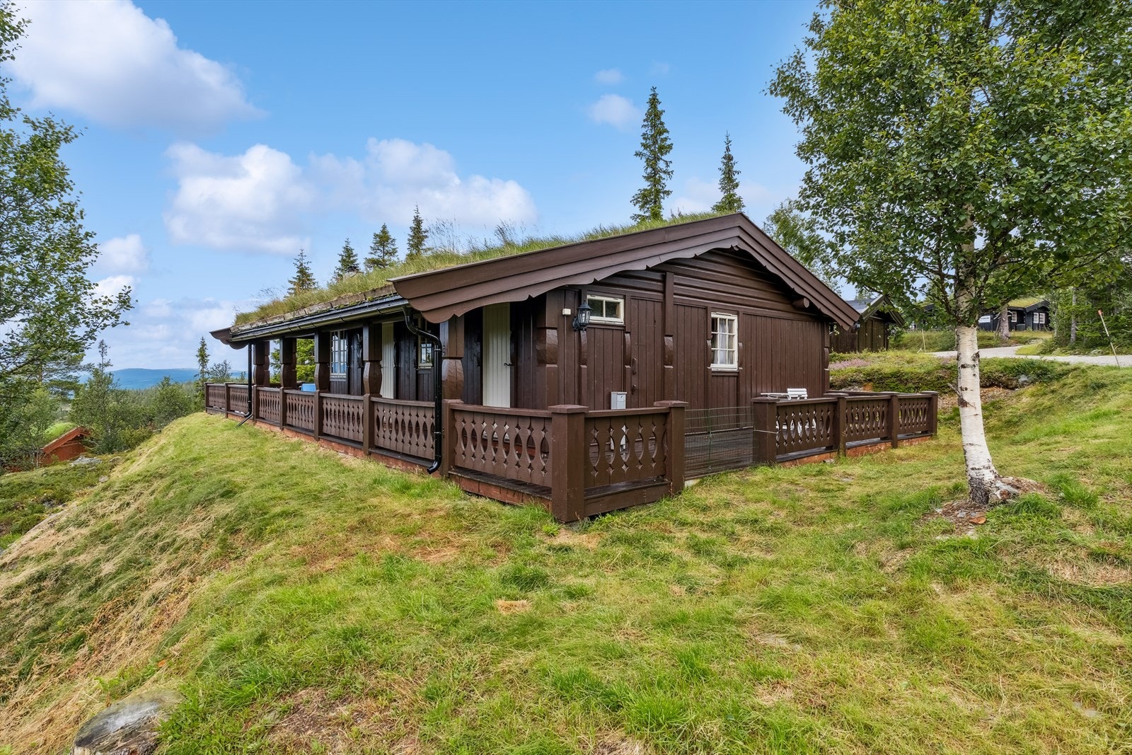 Utebilde fra sommerstid Galleribilde