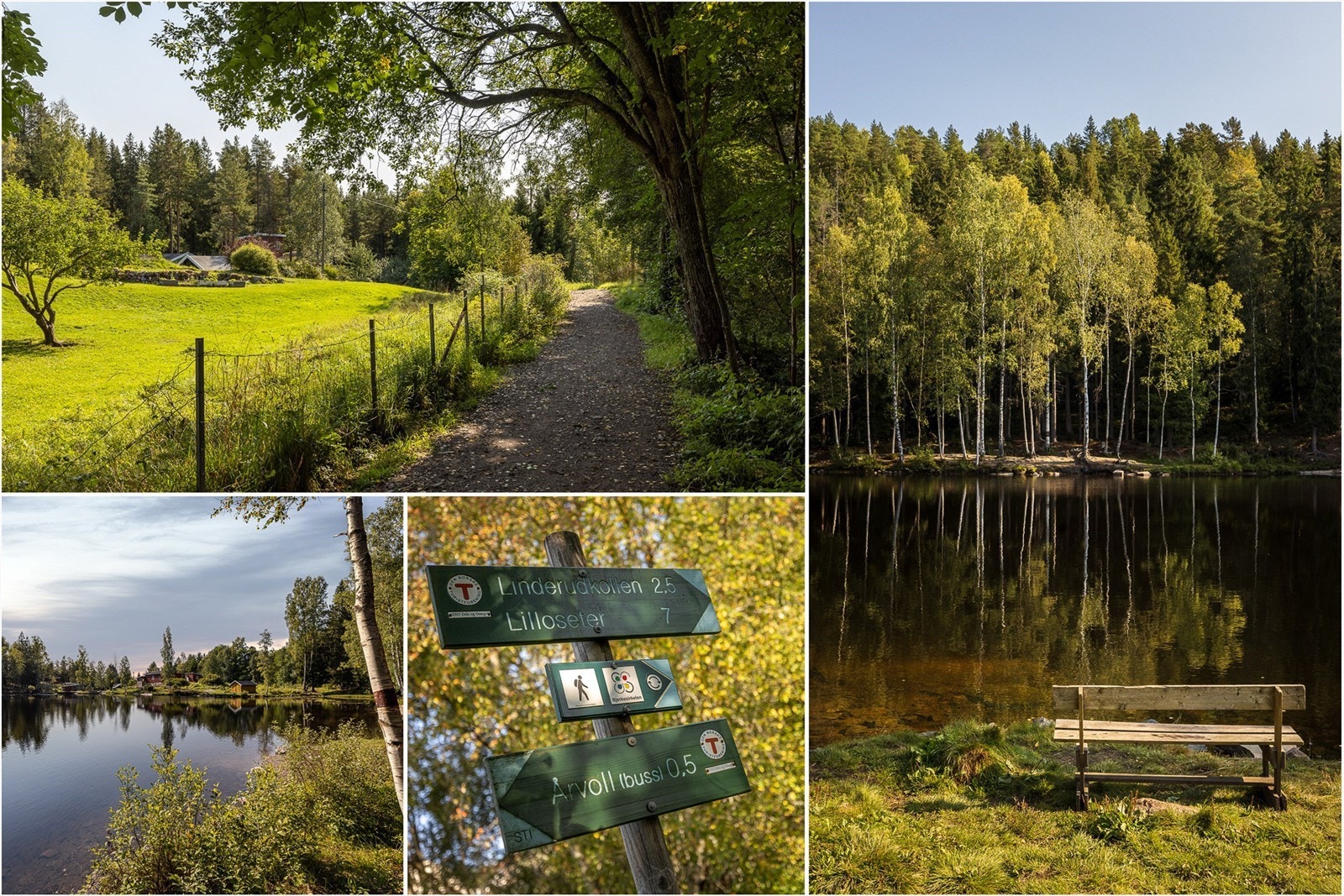 Bosetter du deg her, får du en rolig og tilbaketrukket beliggenhet med marka som nærmeste nabo Galleribilde