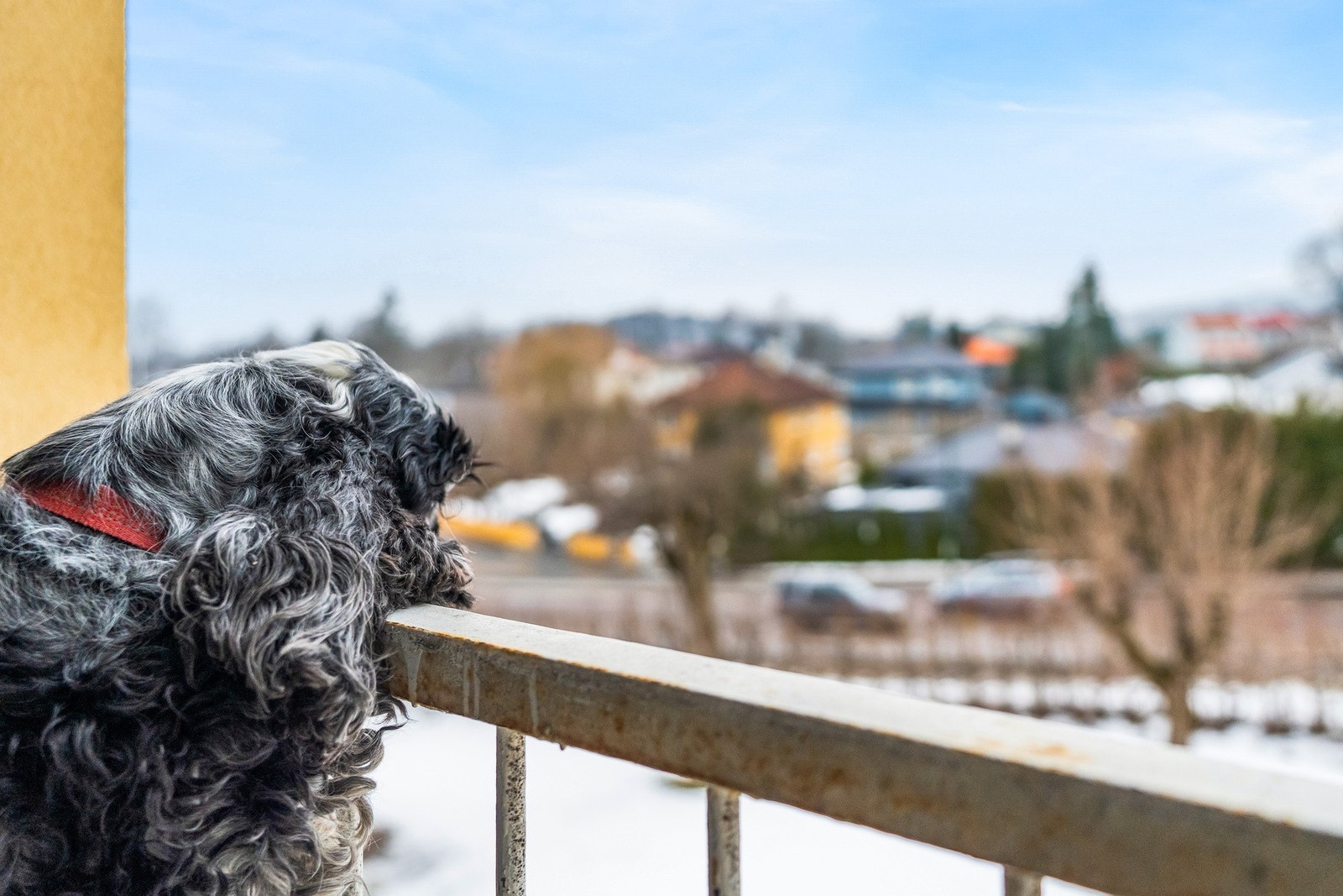 De doble vinduene ved spisestuen kan åpnes helt opp mot den franske balkongen. Galleribilde
