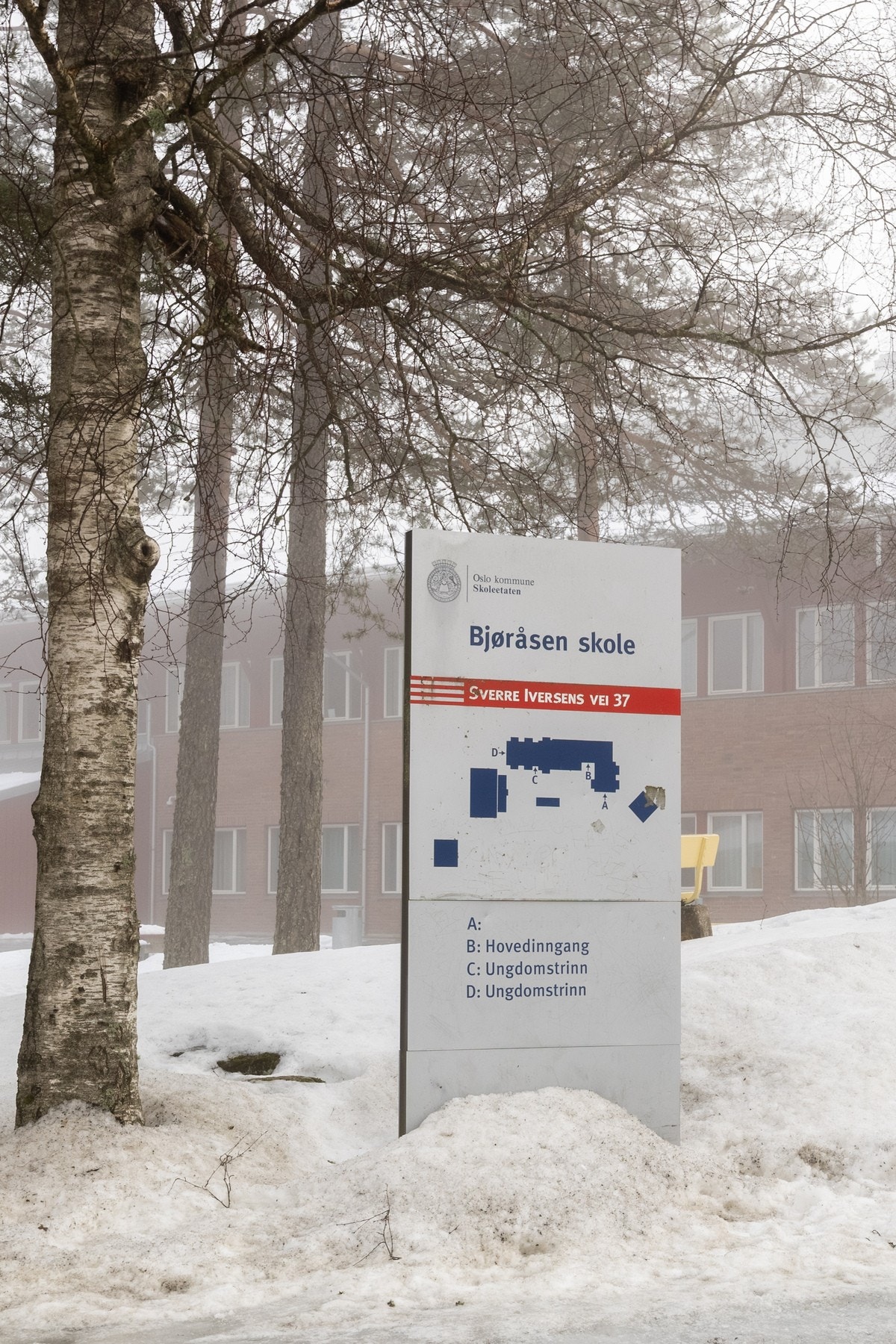 Kort vei til Bjørnåsen skole. Galleribilde