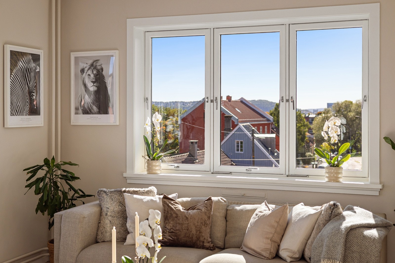 Alle vinduene i leiligheten har fine brede vinduskarmer som er perfekte for planter og dekor. Galleribilde