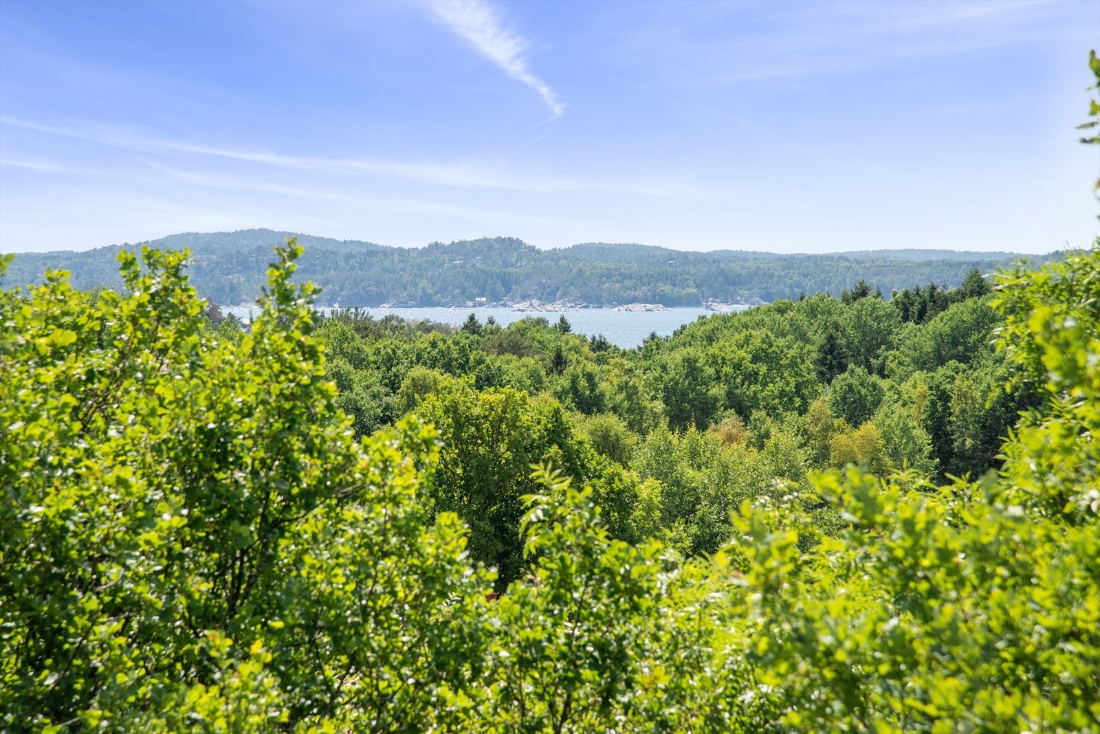 Utsikt fra tomten mot Sandefjordsfjorden- kort vei til strender og turområder. Galleribilde