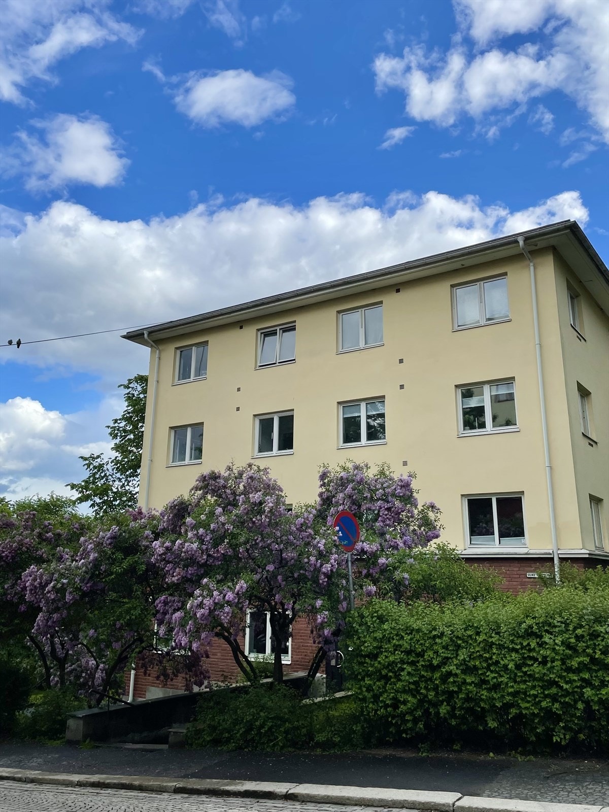 Selgers foto Galleribilde