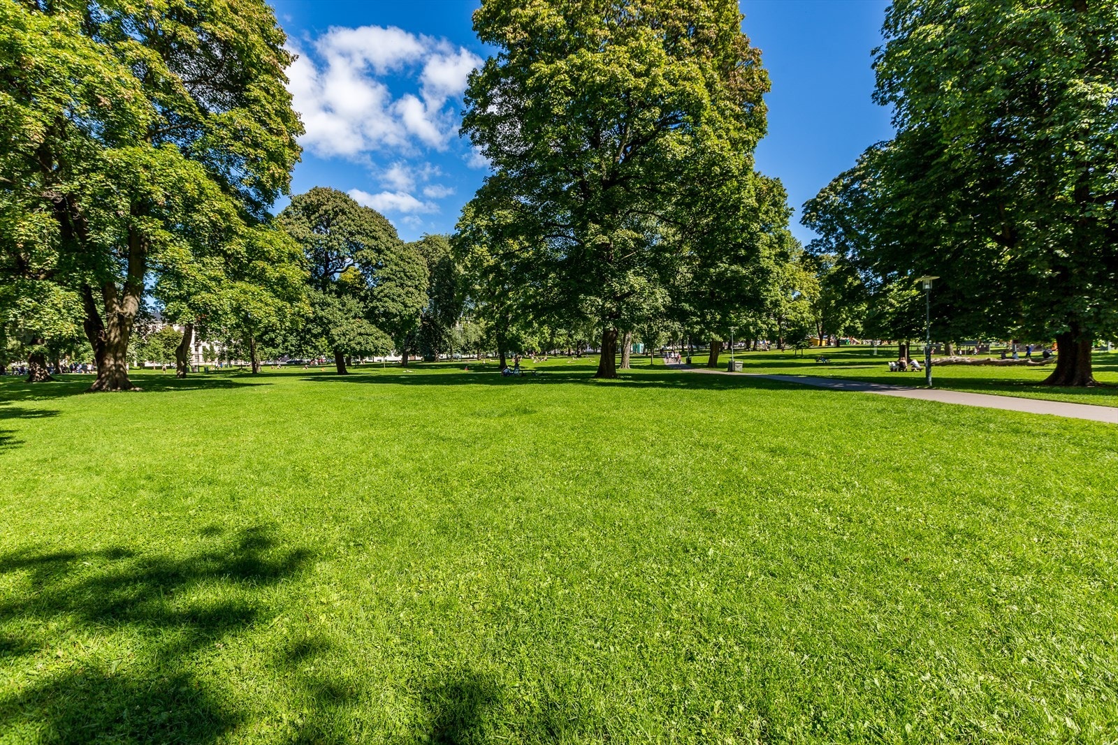 Sofienbergparken er en en av mange store grønne lunger, innen 15 minutter gange fra boligen. Galleribilde