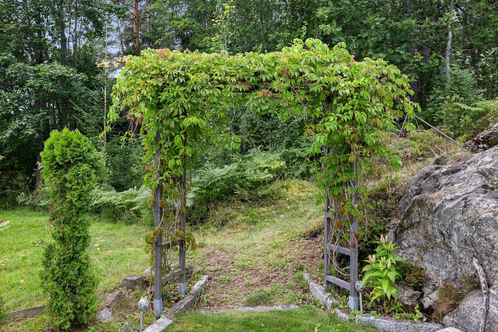 En hageportal dekket av klatreplanter som skaper en naturlig og sjarmerende inngang til skogsområdet bak eiendommen. Galleribilde
