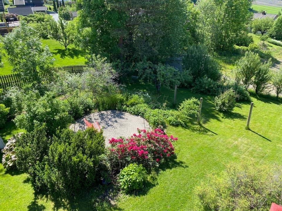 Usjenert platting i hagen i sommerfarger. Selgers eget bilde tatt ca 2020 Galleribilde