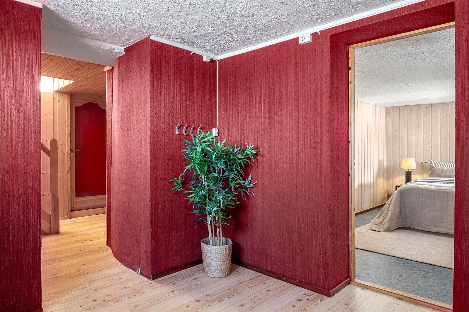 Bodrom i kjeller Galleribilde