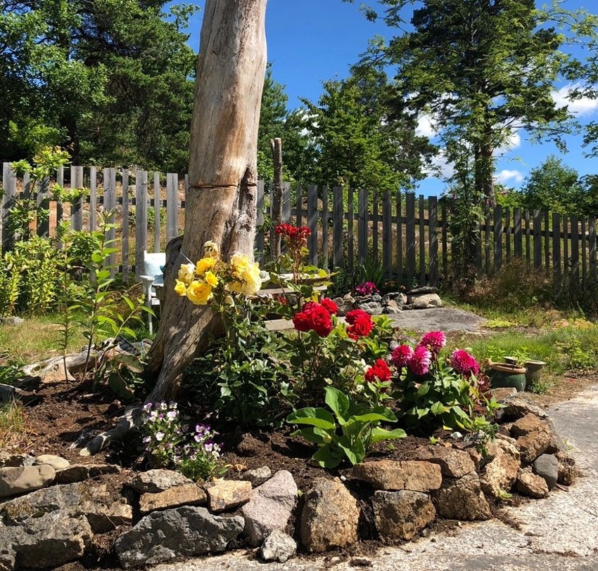 Bilde av hagen tatt av selger. Galleribilde