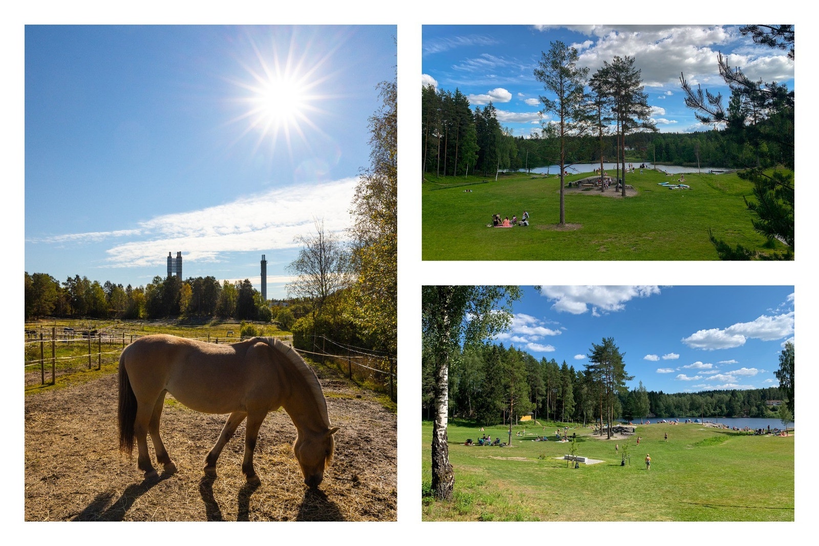 Nærområdet: Stenrudtjernet og Søndre Nordstrand rideklubb. Galleribilde