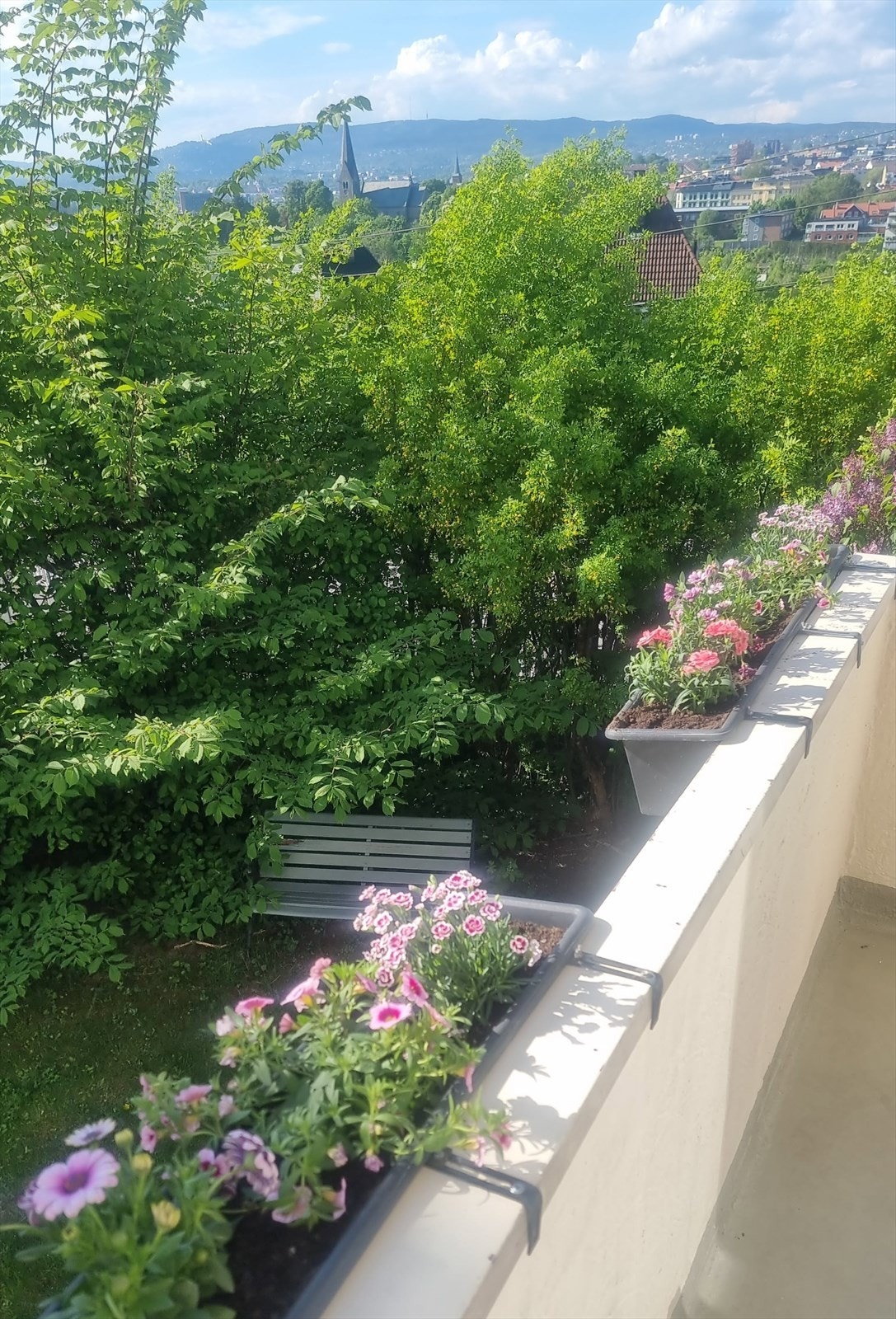 Selgers eget bilde. Galleribilde