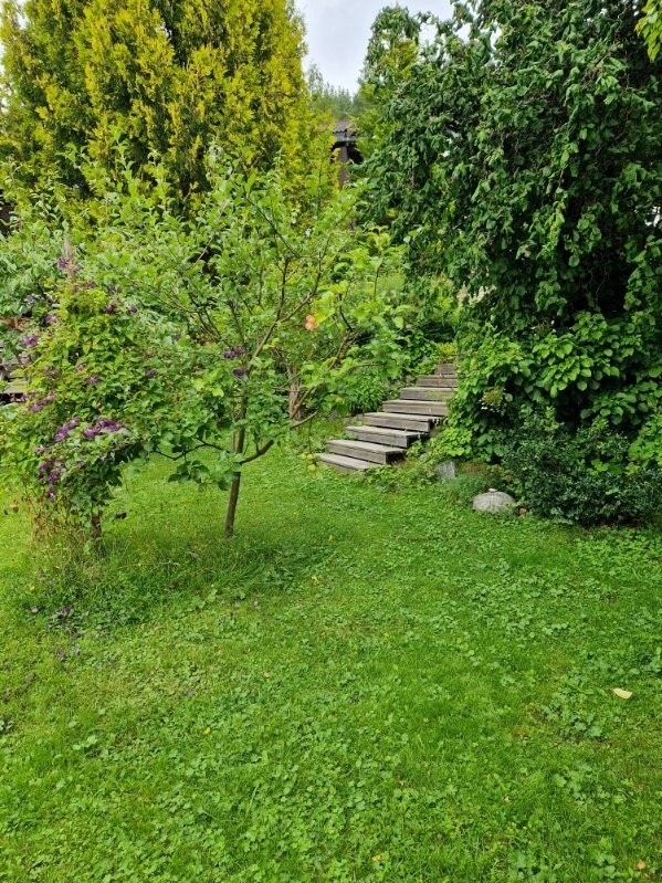 Bilde tatt av selger på sommerstid. Galleribilde