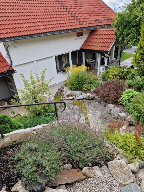 Bilde tatt av selger på sommerstid. Galleribilde