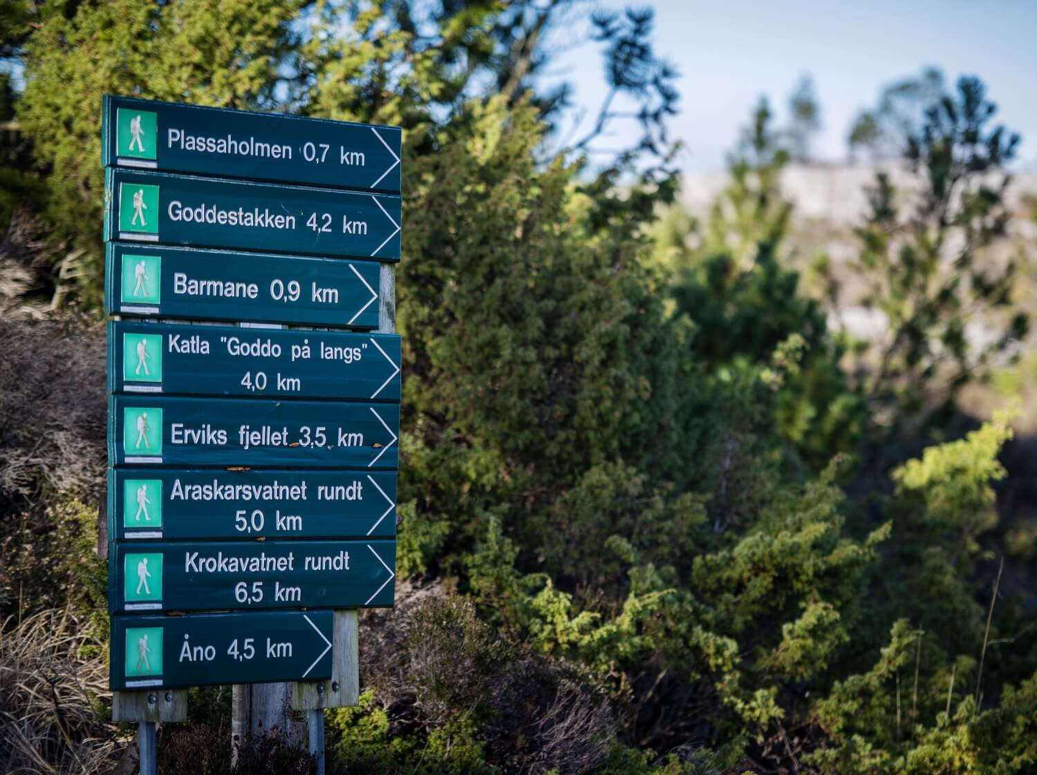 Flotte turområde i nærheten Galleribilde